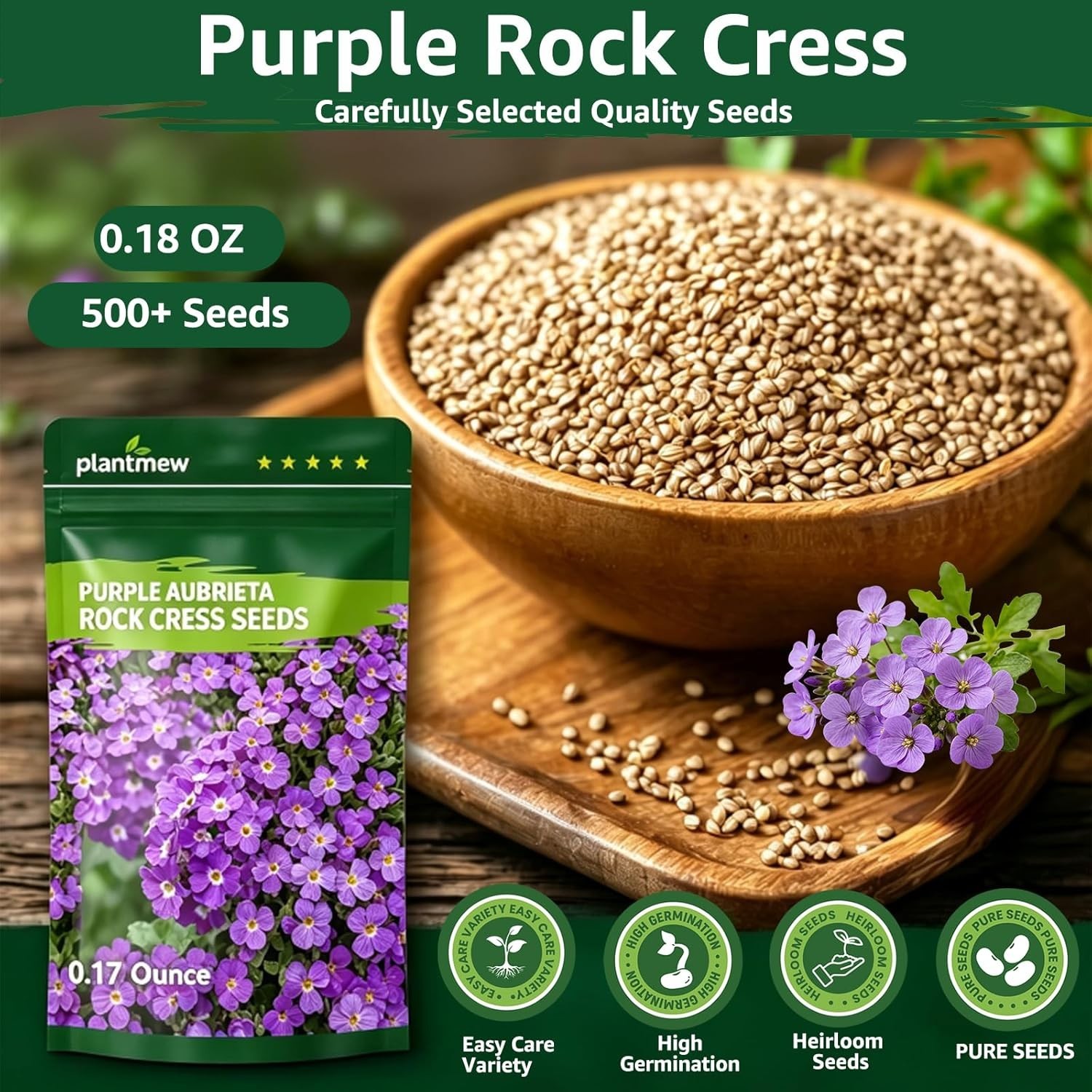 Perennial Ground Cover Flower Seeds: 800+ Purple Aubrieta for Pollinator Gardens