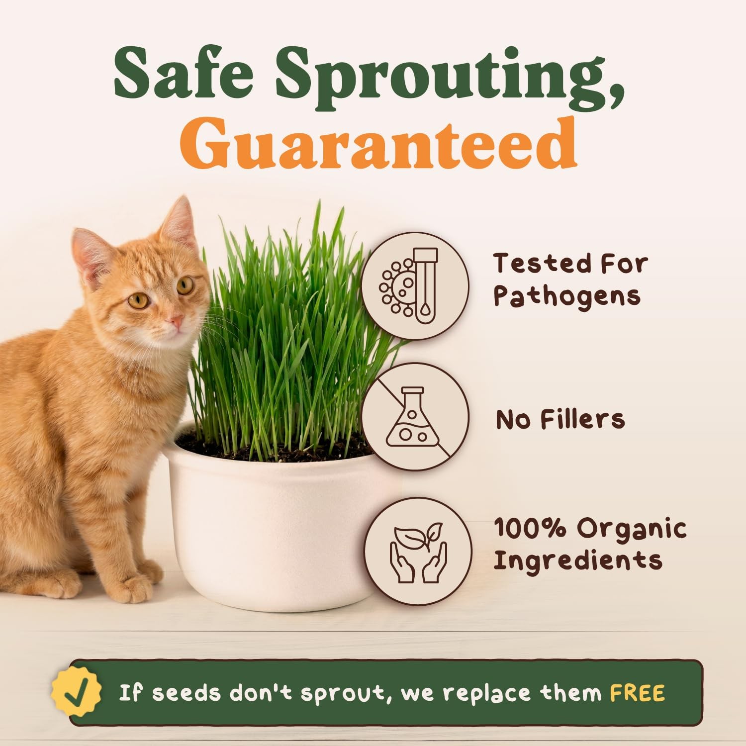 Organic Cat Grass Seeds for Planting, Non-GMO Wheat, Oat, Rye, and Barley Cat…