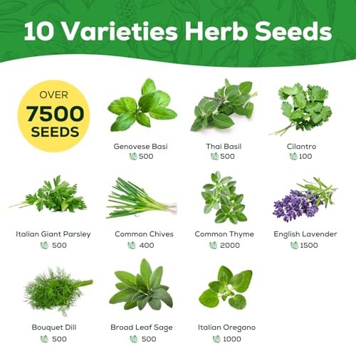 PLANTMEW Culinary Herb Seeds Variety Pack for Home Garden Planting and Growing