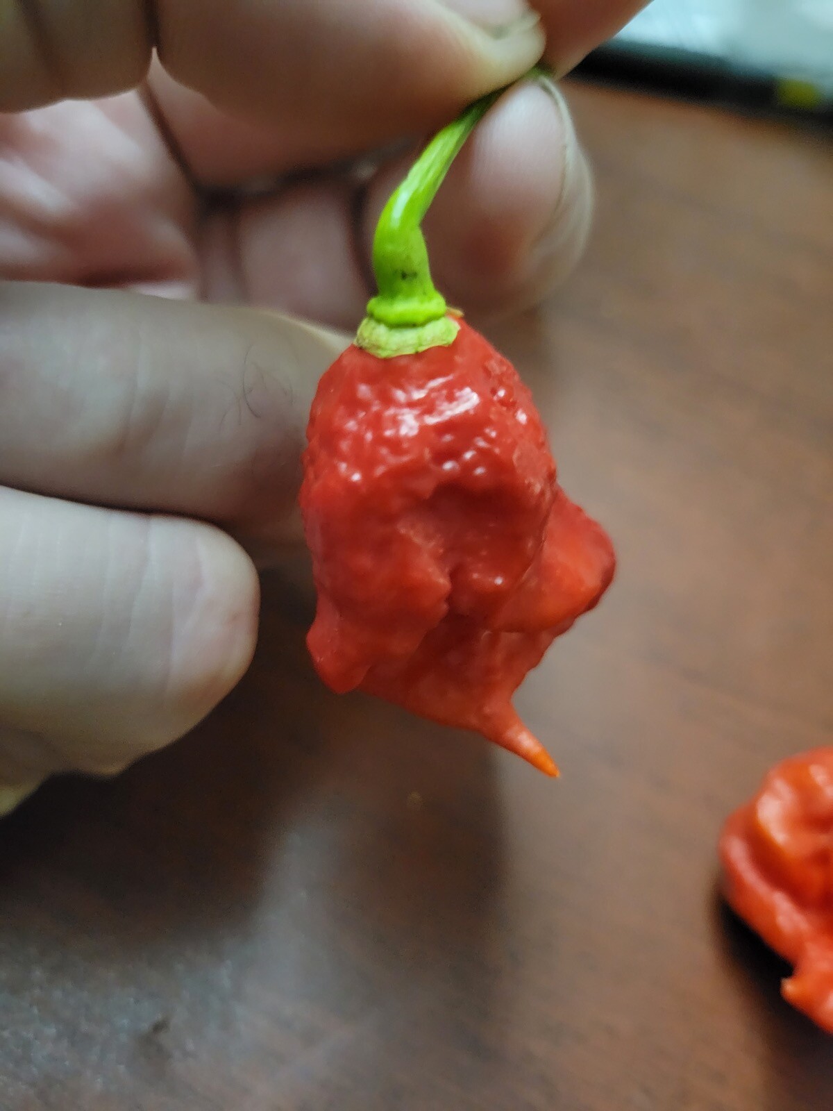 25+ Carolina Reaper Seeds – Heirloom – Organic – USA Seller