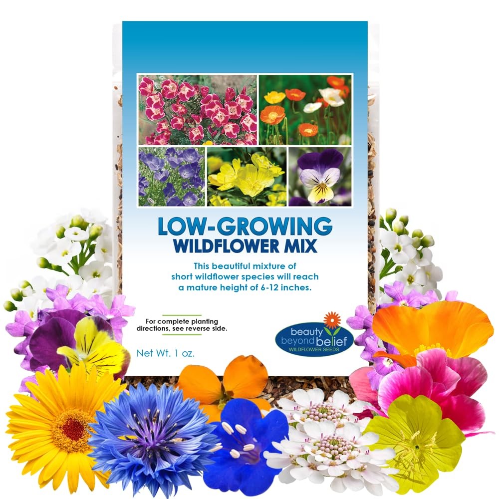 Low Growing Wildflower Seeds Mix 1oz, 612 Inches Short Flowers – NonGMO Natu…