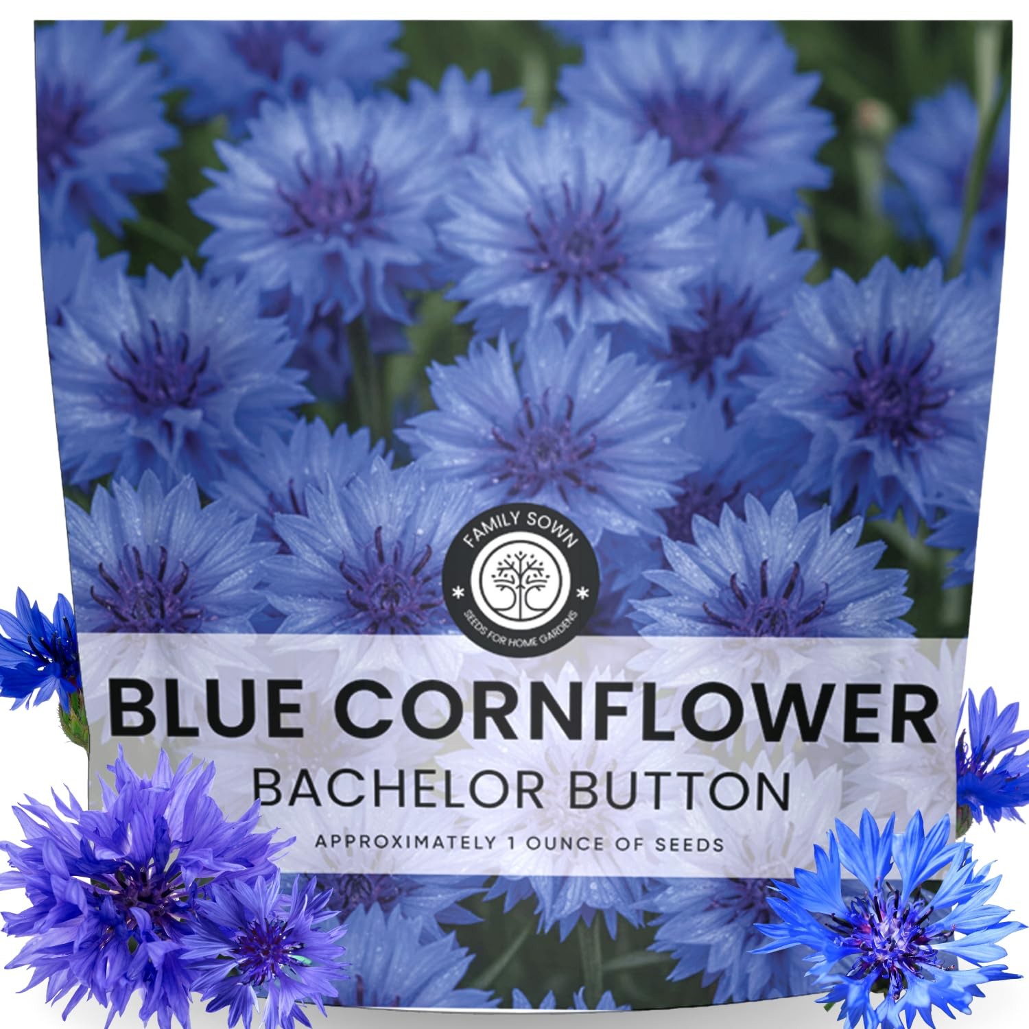 Blue Cornflower Seeds – 4,000 for Planting – 1 Ounce Pouch – 2026 Season