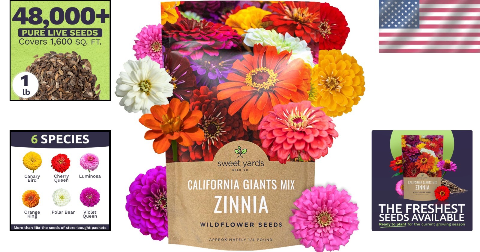 California Giants Zinnia Seeds – 1lb Bag – 48k Flowers