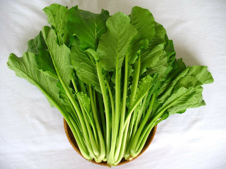 Yu Choy Sum Seeds – Jung Green Choy Sum Cải Ngọt Cabbage Veggies USA Non-GMO