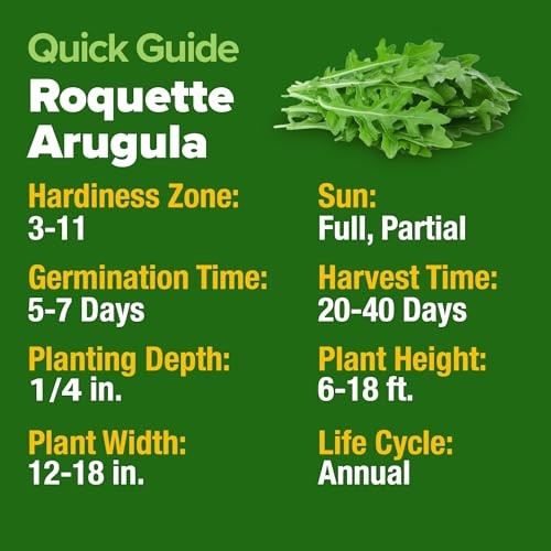 Roquette Seeds Bulk Mix | 2,175+ Heirloom Non-GMO Flower Seed 1-Pack Arugula