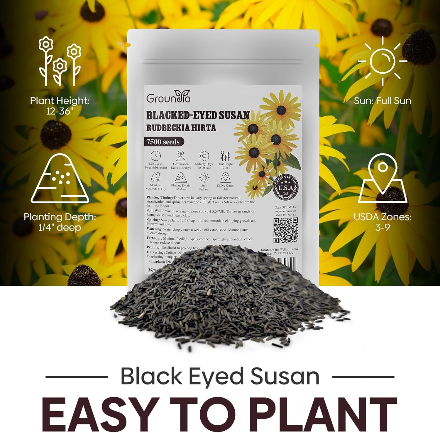 Black Eyed Susan Seeds, 7500+ Perennial Flower Seed to Plant Indoor & Outdoor, A