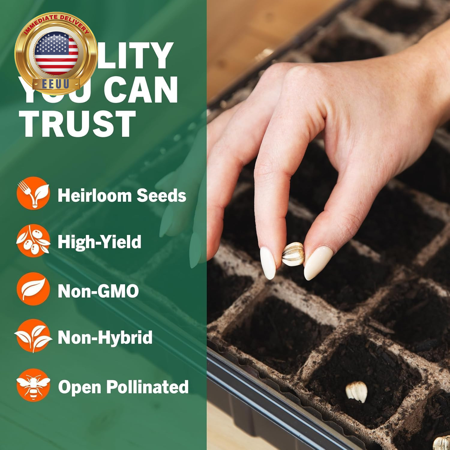 8 Varieties Greens Seeds Pack – 3,200+ Seeds (400 Seeds Each) Non-Gmo Heirloom S