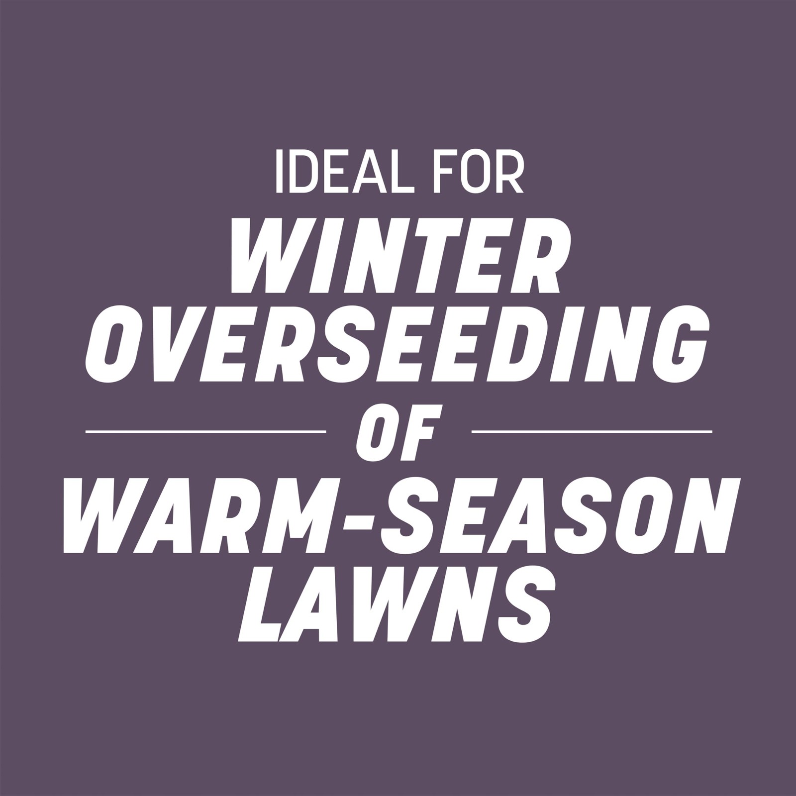 Pennington Annual Ryegrass Retail Bag To Overseed Warm Season Grasses 25 Lb