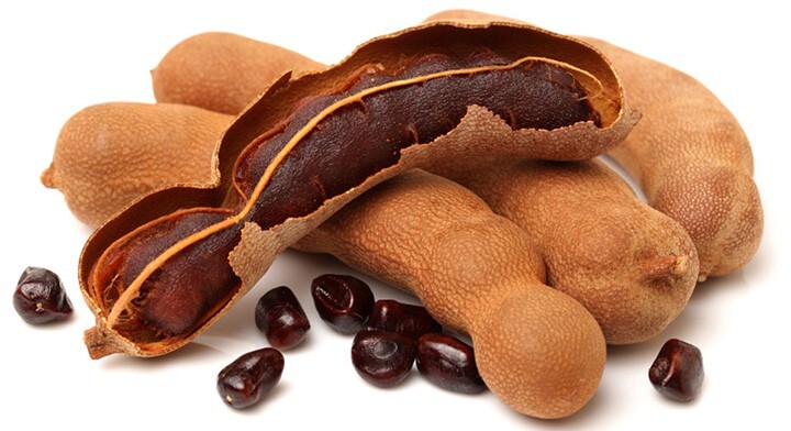 Tamarindus Indica Tamarind Live Tree Puerto Rico