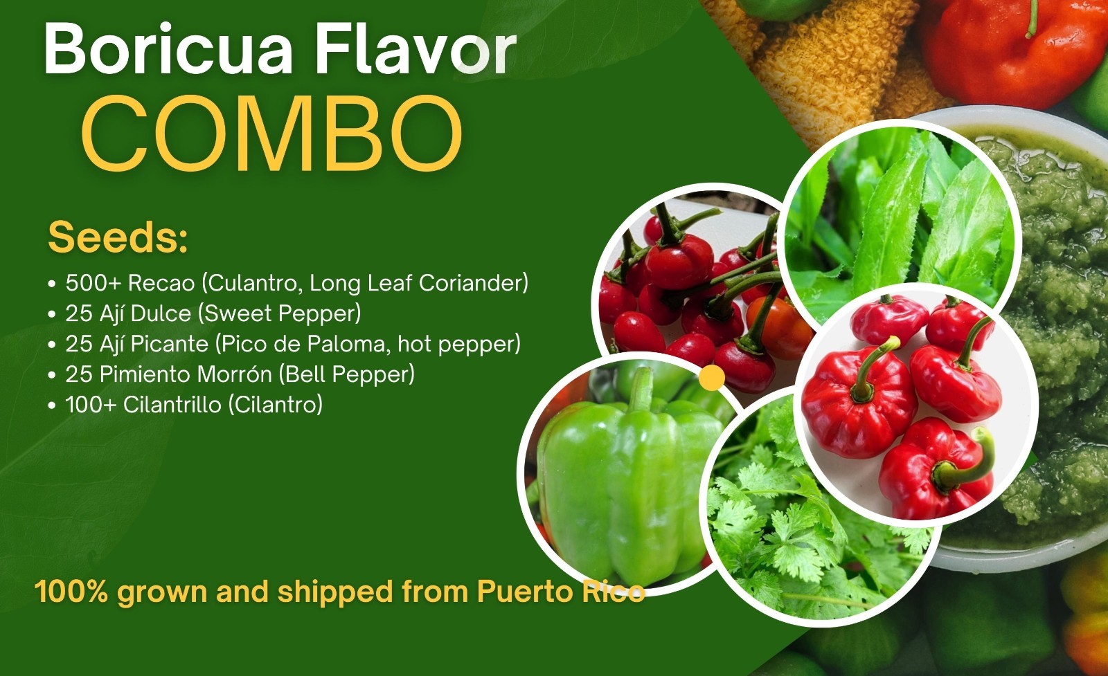 Seeds, Puerto Rico, Ají Dulce, Ají Picante, Cilantro, Recao, Pimiento Morrón