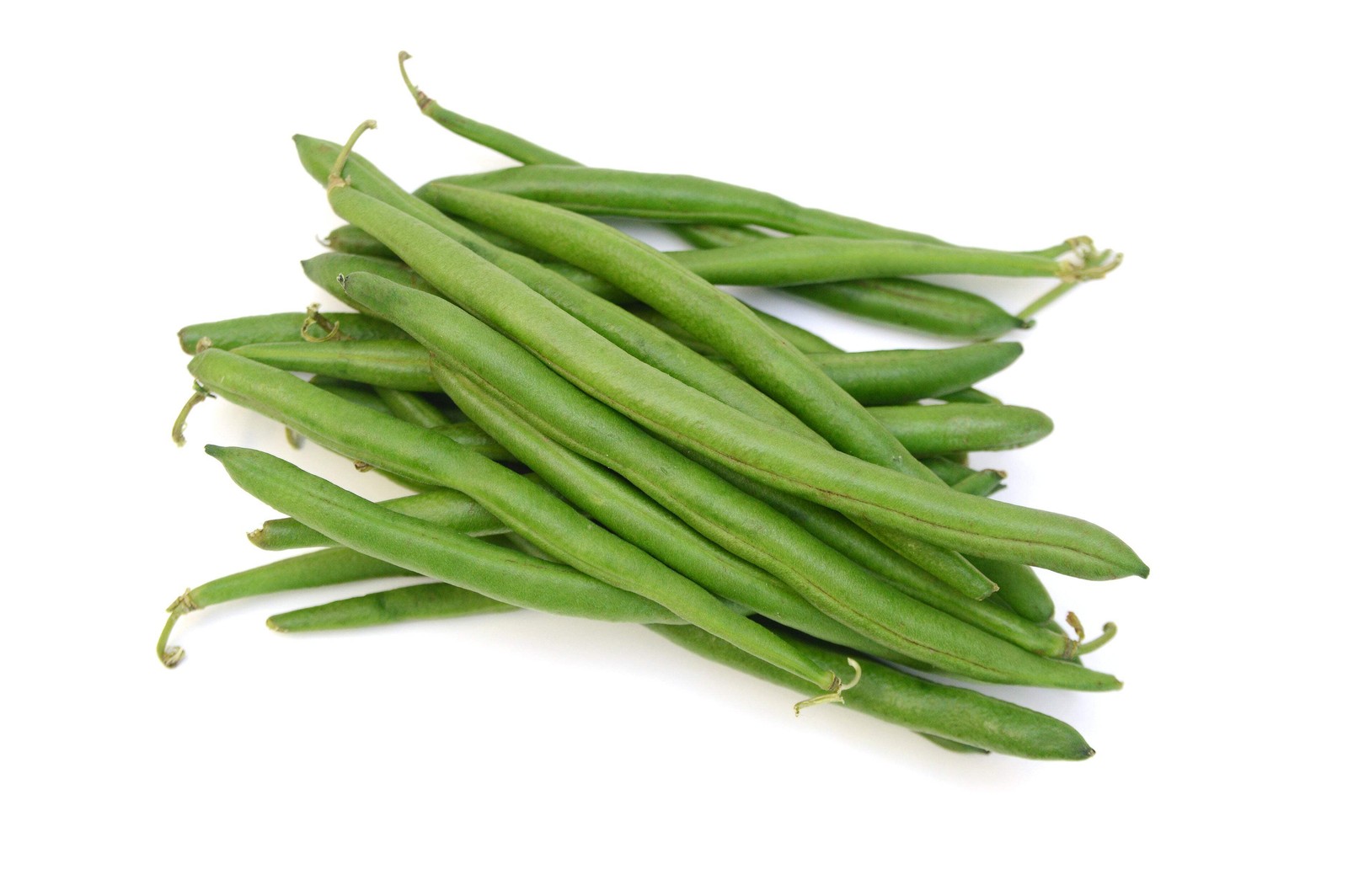 50 TENDERGREEN GREEN BEAN Phaseolus Vulgaris Vegetable Seeds