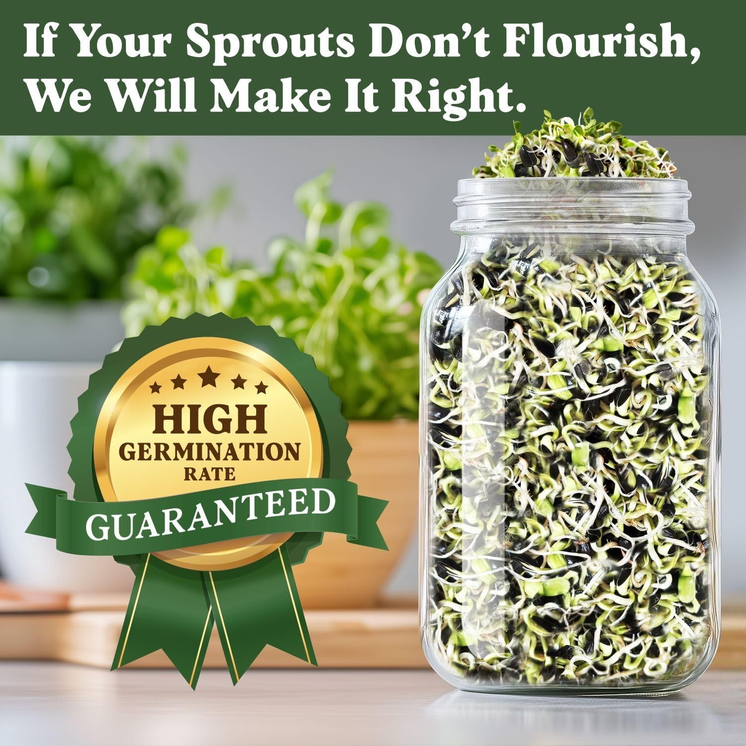Organic Sunflower Sprouting Seeds Mix – Non-GMO, Grows 5 Quarts of Microgreens