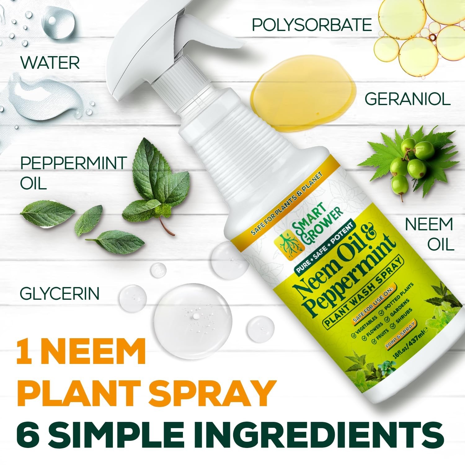 Natural Neem Oil Spray for Plants – Peppermint Infused, 16oz Ready to Use, Indoo