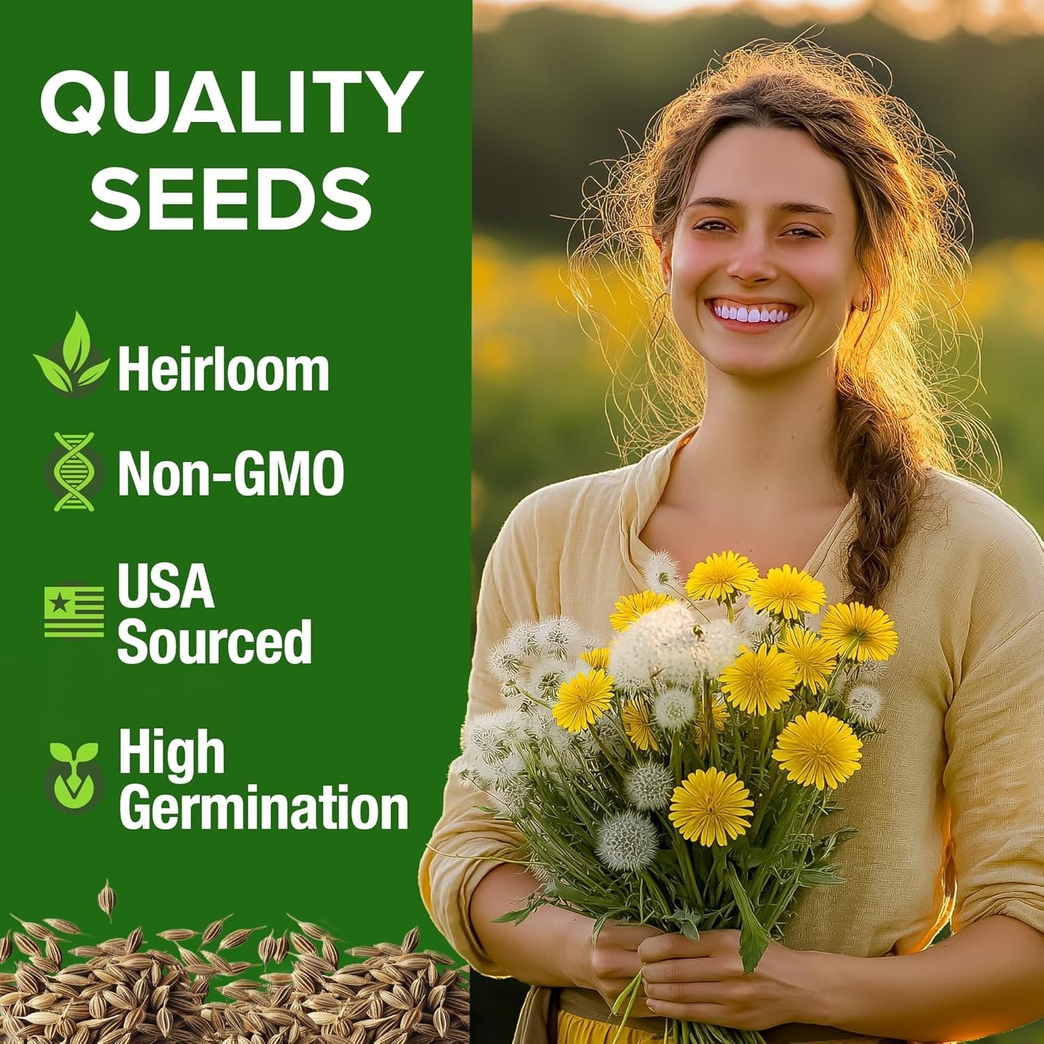 Heirloom Dandelion Seeds (600 Non-GMO) – Thrives in Zones 2-11, Includes Guide