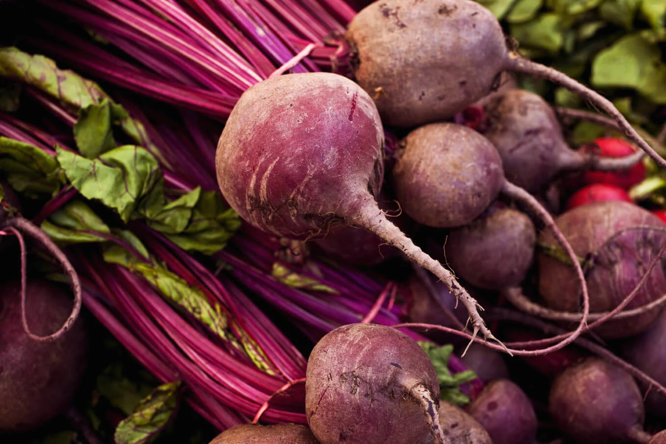Detroit Dark Red Beet Seeds | Blood Turnip Mangel Harvard Vegetable Seed 2024