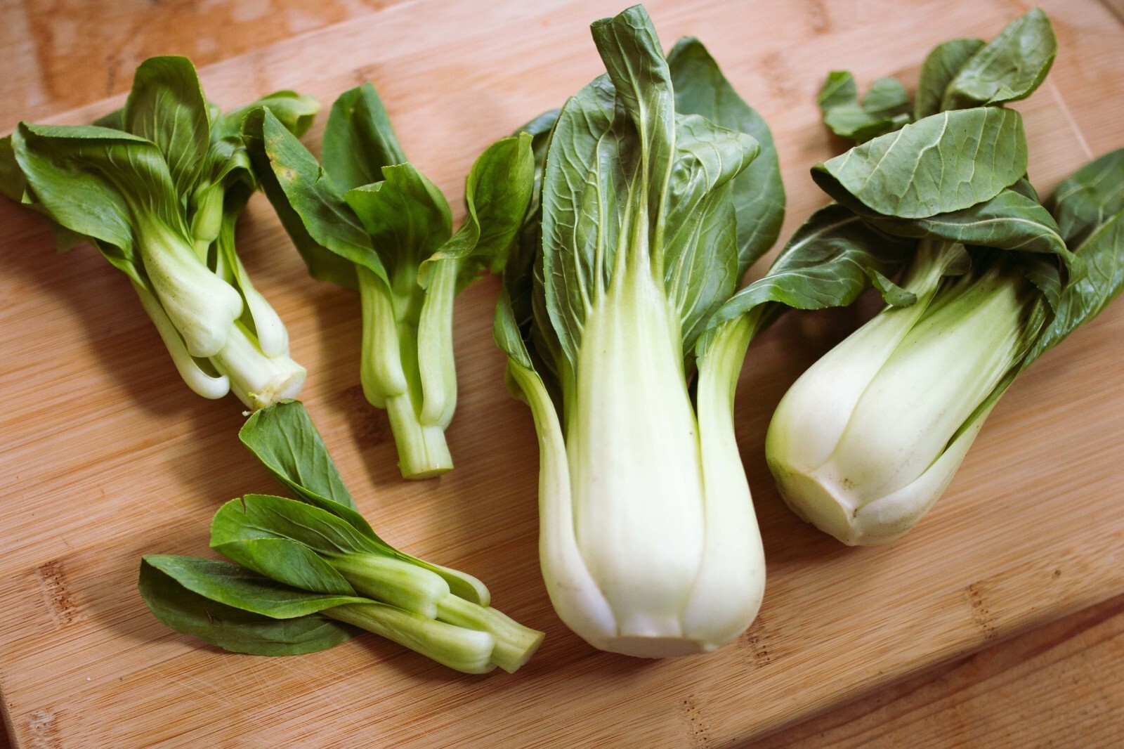 4000+ Bok Choy Seeds | Chinese White Stem Pak Choi | Chinese Cabbage Seeds
