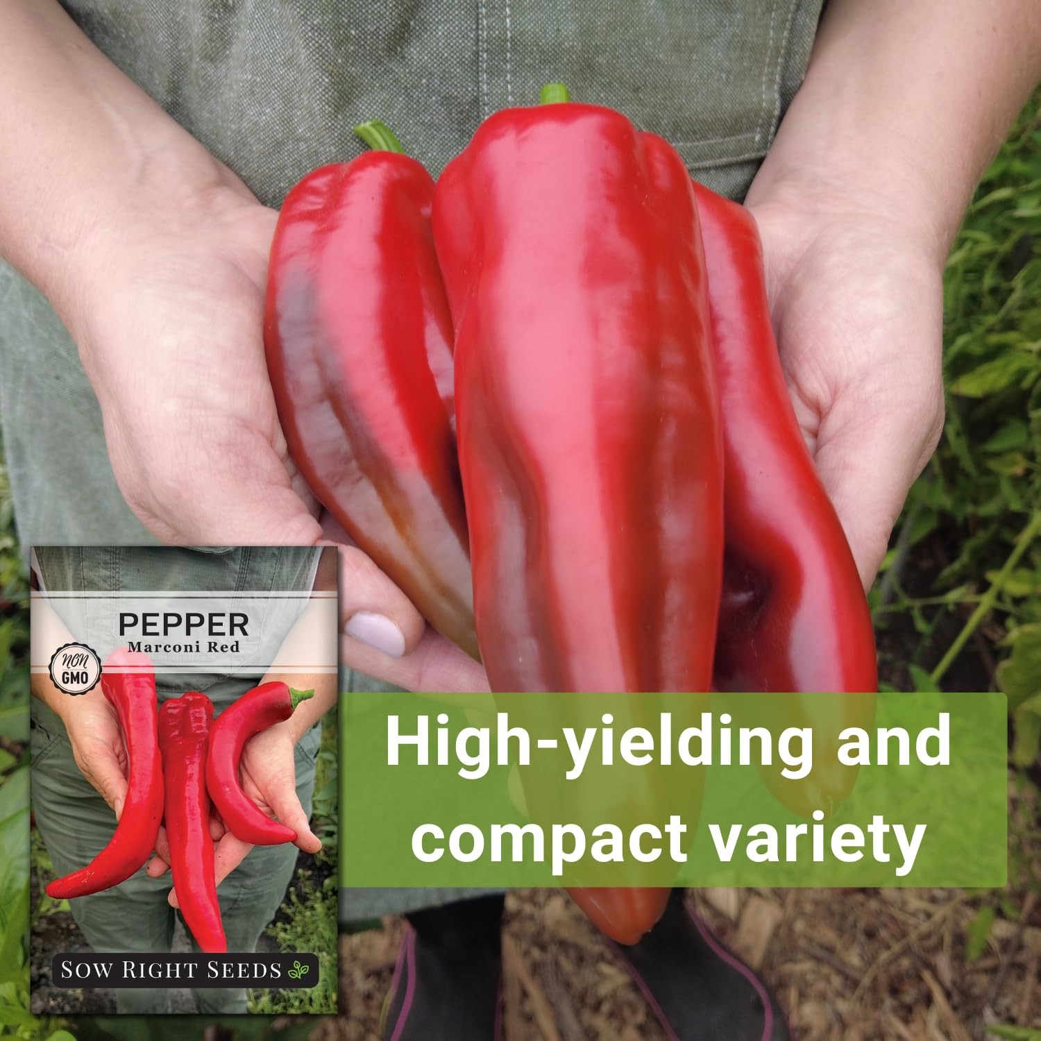 Marconi Red Pepper Seeds Non-GMO Heirloom Sweet Italian for Planting Garden