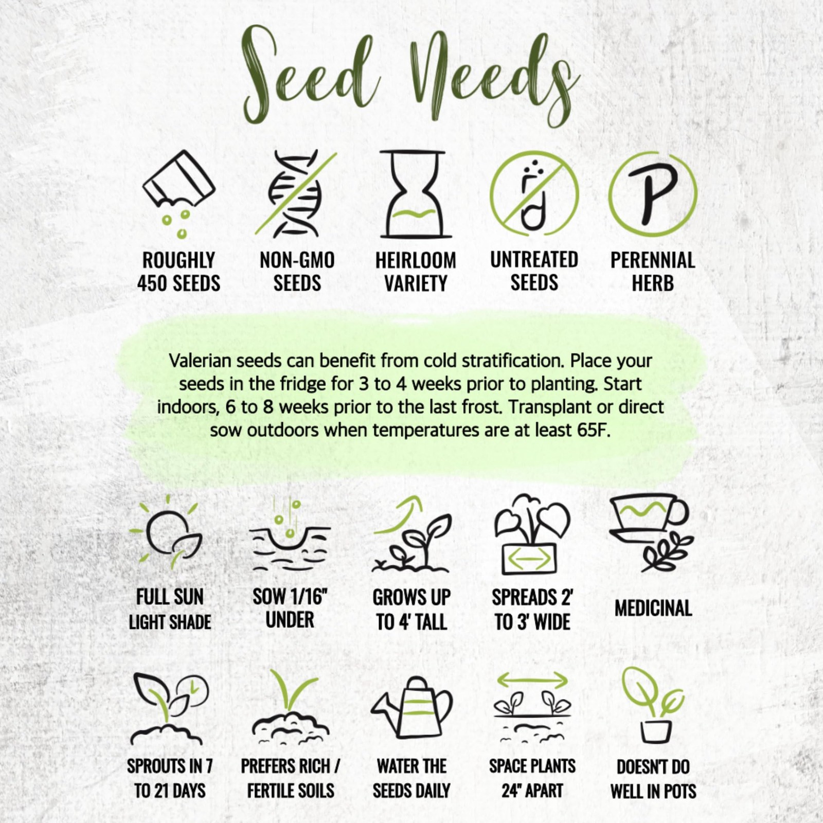 Seed Needs Valerian Seeds to Plant Heirloom Non-GMO 1 Pack,