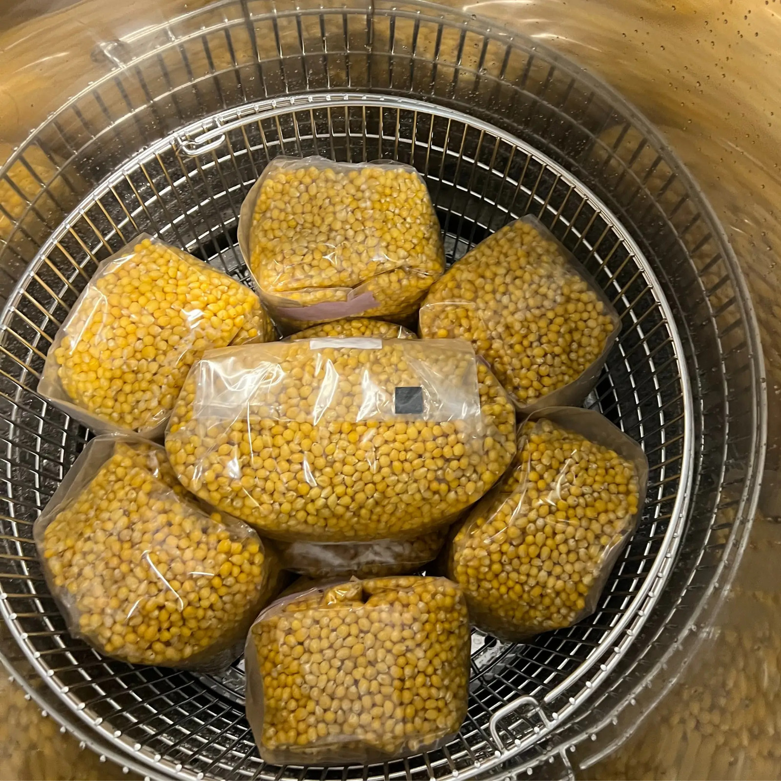 3 Pack | 3lb Drippy Corn Grain Spawn