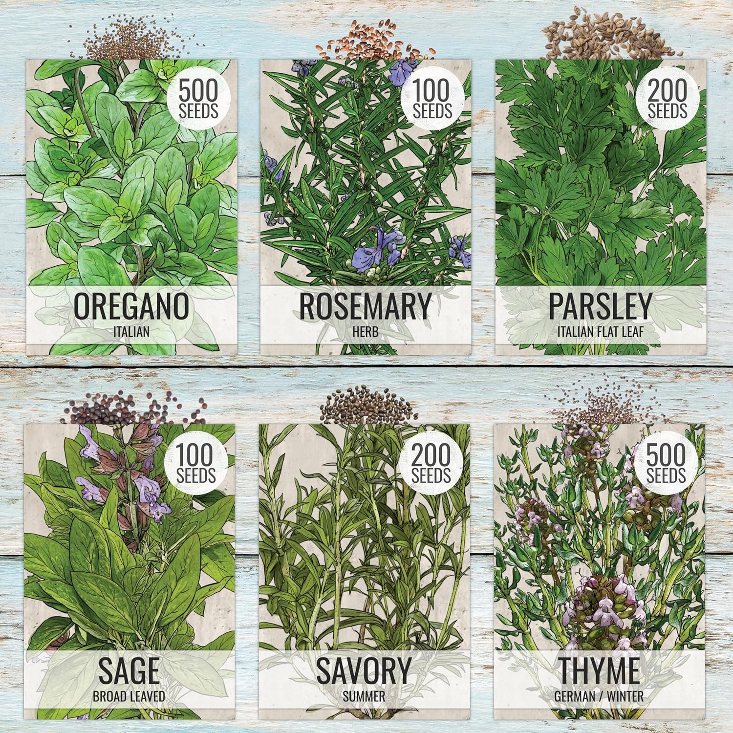 Seed Needs Herb Seeds Variety Pack Culinary Herb Collection (12 Individual Packe