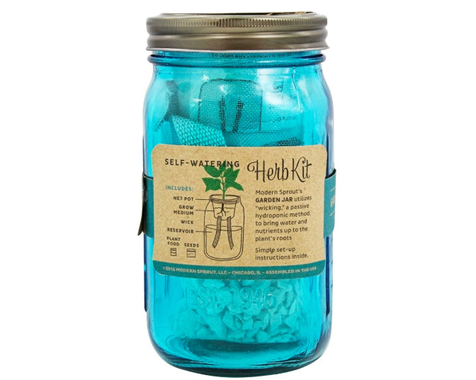 Keto: Modern Sprout Basil Herb Kit – 32 oz (0.1 carbs)
