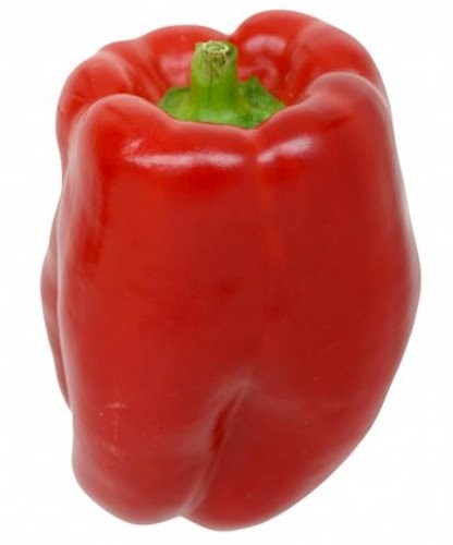 Keystone Giant Sweet Pepper – 20 Seeds – Huge