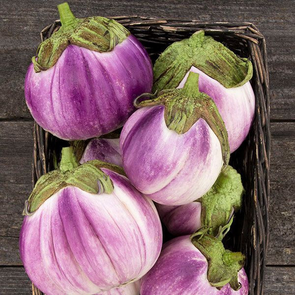 50 ROSA BIANCA EGGPLANT SEEDS FRESH FOR YOUR VEGETABLE GARDEN.