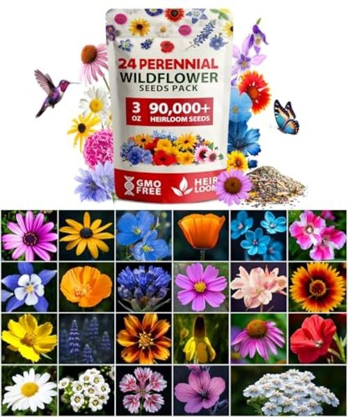 90,000+ Wildflower Seeds Mix 3oz 24 Varieties 1-Pack Wildflower Perennial XL