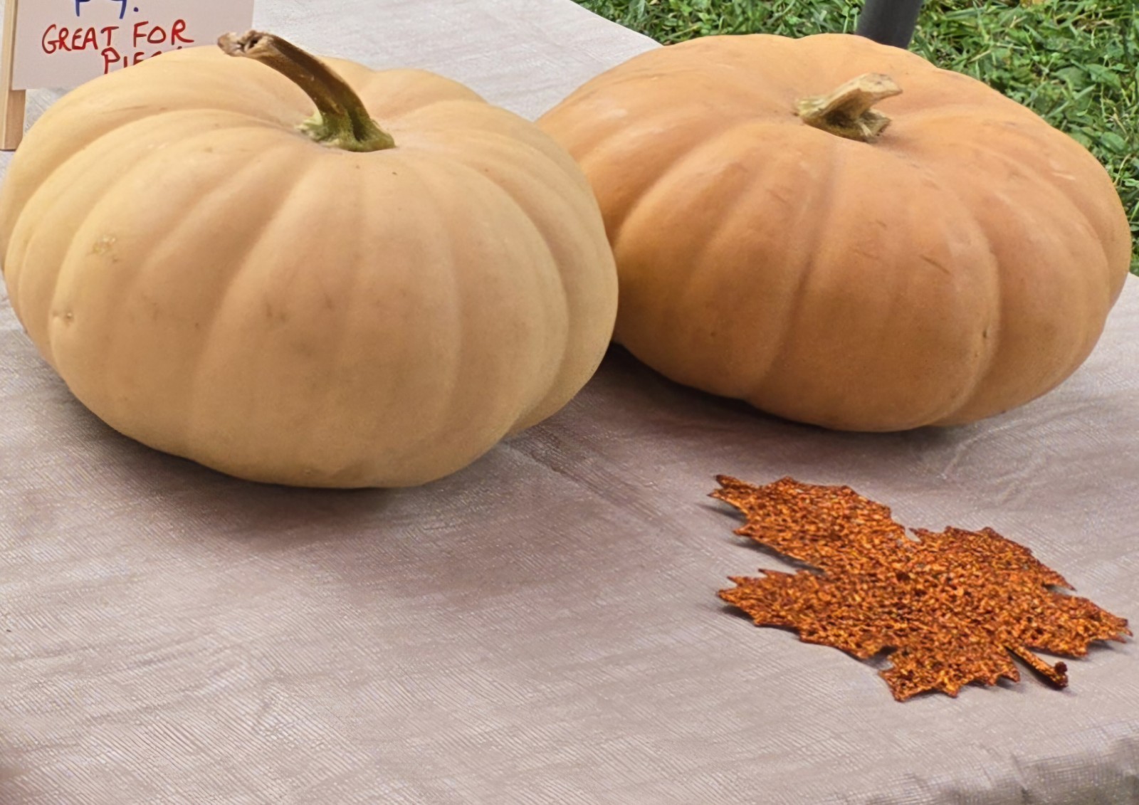 LONG ISLAND CHEESE PUMPKIN SEEDS