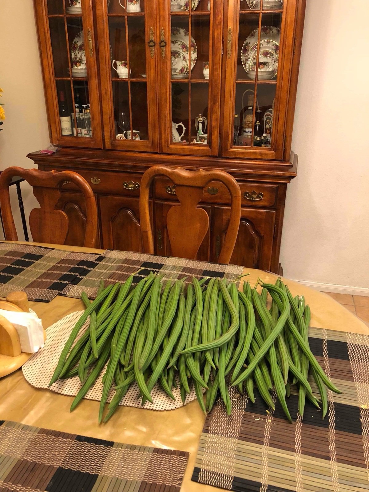 Malunggay (Moringa) Fruit !! PLEASE READ THE DESCRIPTION !!