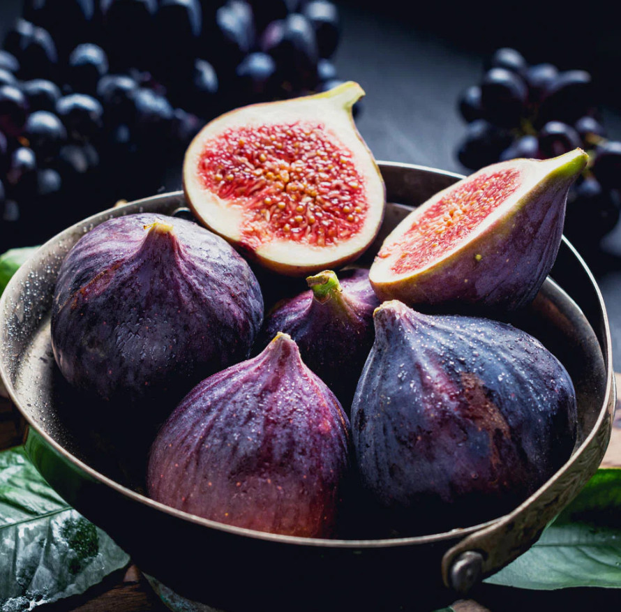 Live Black Mission Fig Tree, Sweet Dark Purple Fig, 4–6″ Tall – Ships No Pot