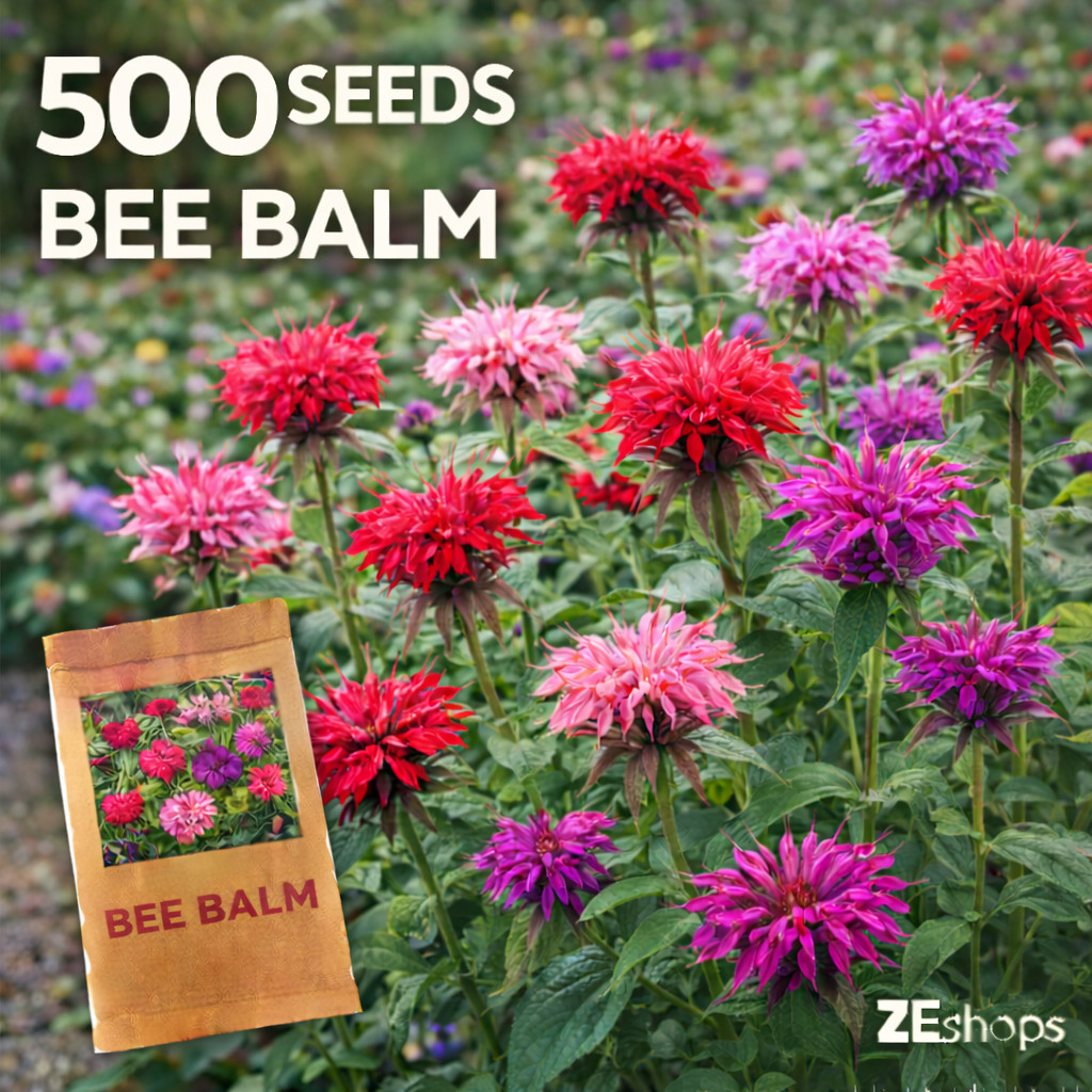 500 Bee Balm Seeds Monarda Perennial Red Pink Pollinator Mix