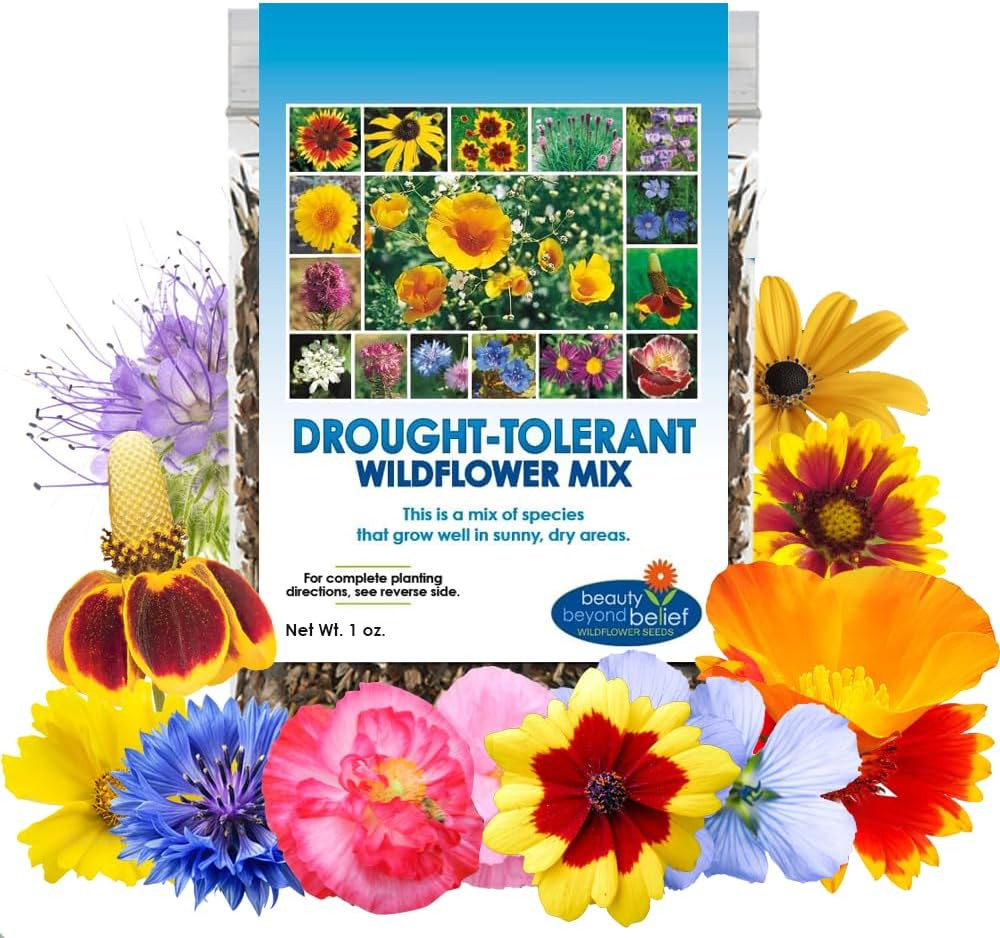 Drought Resistant Wildflower Seeds – 1Oz, Open-Pollinated Bulk Flower Seed Mix f