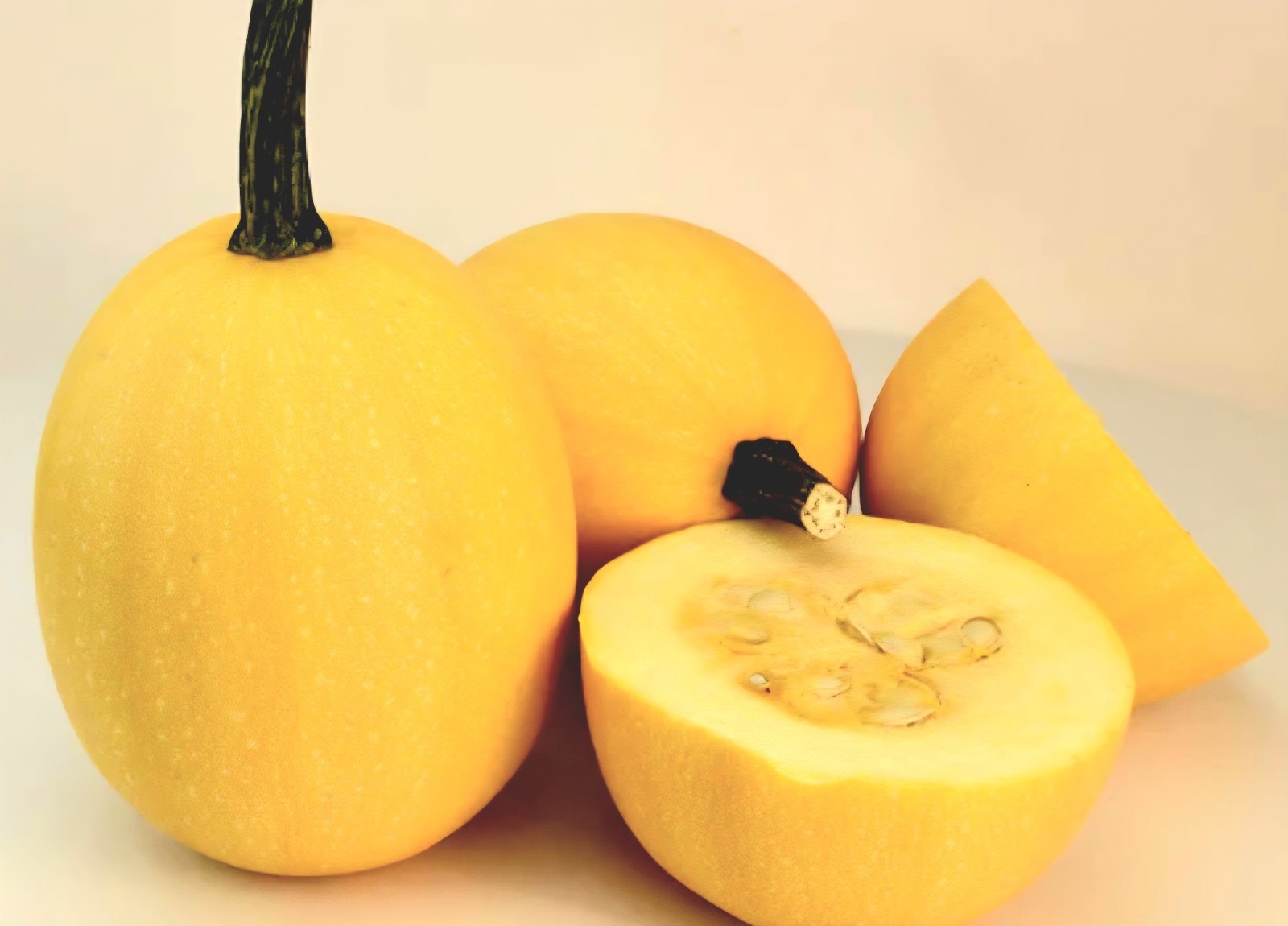 SMALL WONDER Winter Spaghetti Squash Seeds – 25- NON-GMO – Home grown in TN