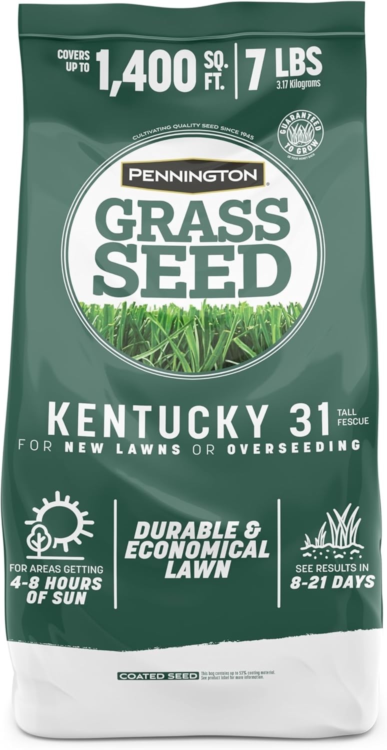 Pennington Kentucky 31 Fescue 7 LB Tall Fescue Grass Seed, Grass Seeds for Lawn