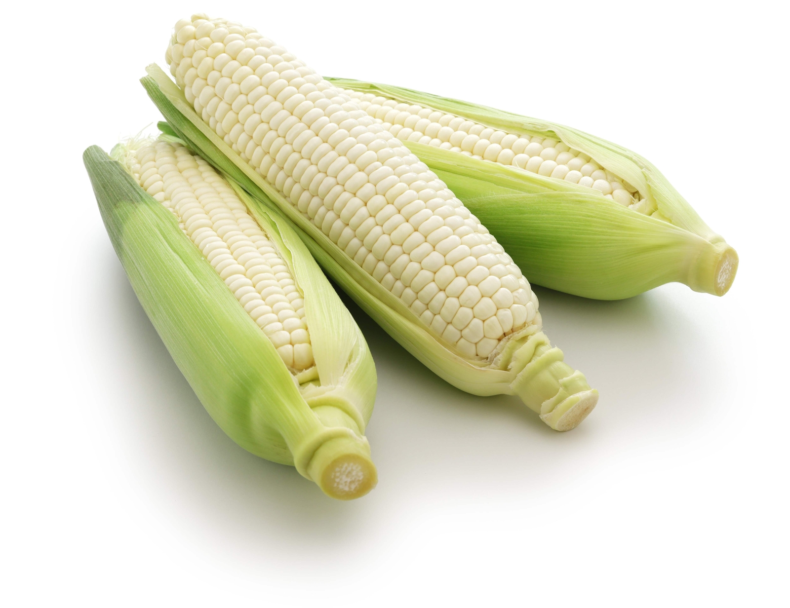 100 COUNTRY GENTLEMAN WHITE CORN Sweet Heirloom Zea Mays Vegetable Seeds *FlatSH