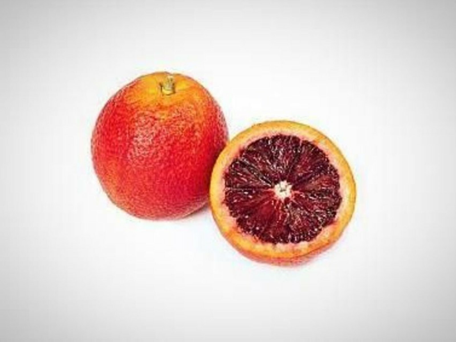Florida only! One Sanguinelli Blood Orange Tree, 26–30 inches tall, grafted