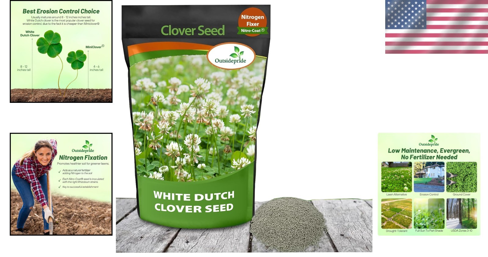 2 lbs. White Dutch Clover Seeds – Sustainable Ground Cover for USDA Zones 3-10