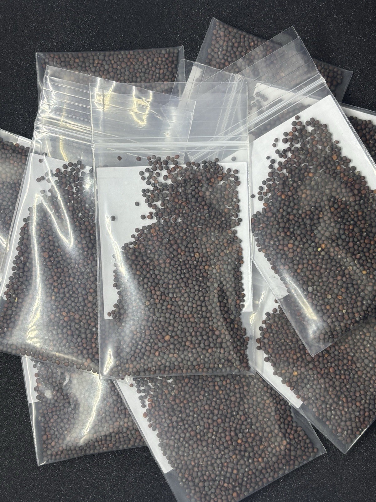 Purple Top Turnip Seeds-50 Grams
