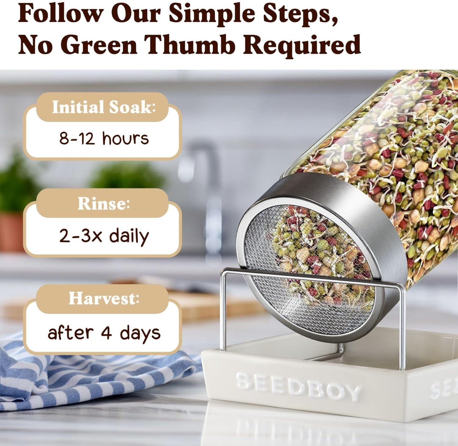 Seedboy Organic Non-GMO Sprouting Seeds, Protein Blend – USA Grown Microgreens M