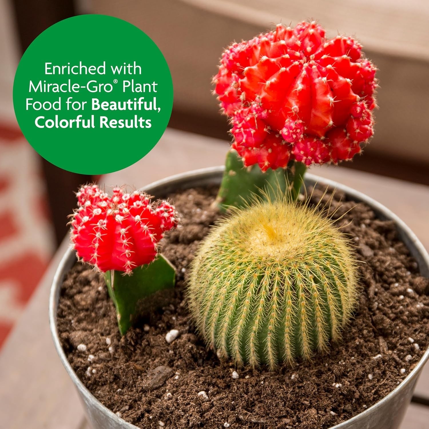 Fast-Draining Cactus and Citrus Potting Mix – 8 Qt. x 2 Pack for Vibrant Plants