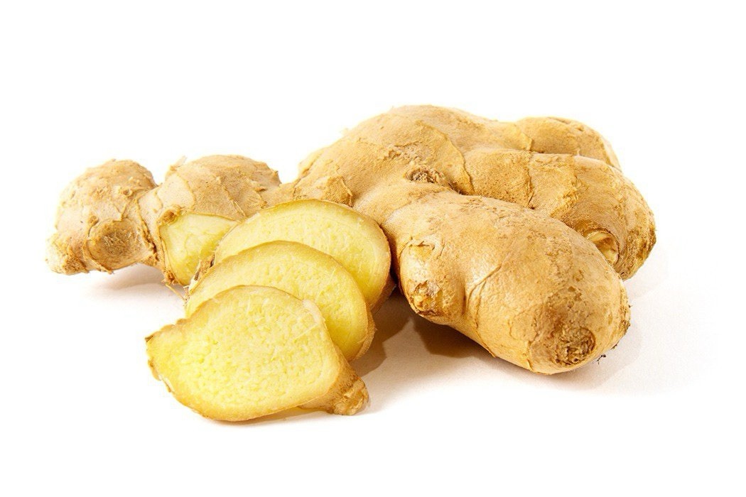 5 Sprouted Ginger Roots Heirloom Curcuma Longa Rhizomes Root Herb