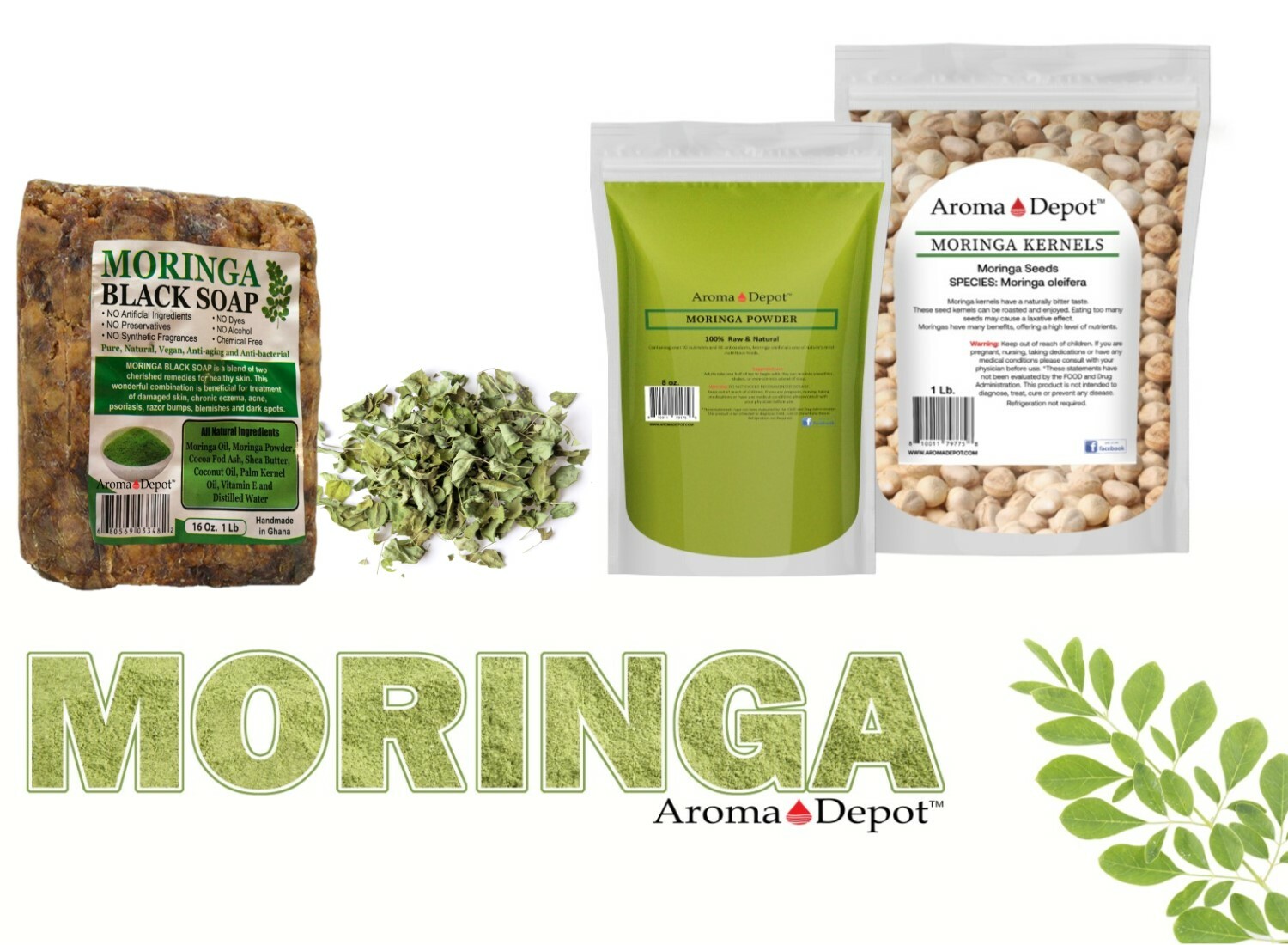 Moringa KERNEL Wholesale Granos de Semillas de Moringa oleifera Malunggay Seeds