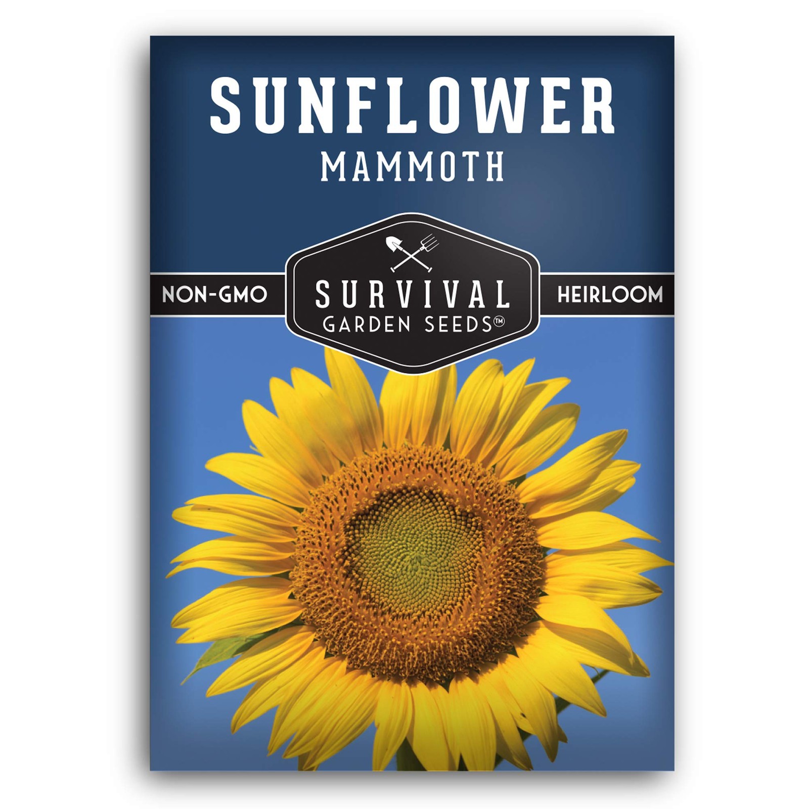 Mammoth Sunflower Seeds for Planting | Giant 12 ft Plants with Edible Yellow
