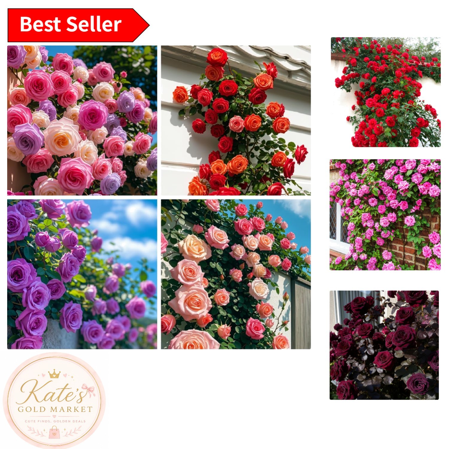 Attractive 280+ Climbing Rose Seeds – High Germination Rate for Vibrant Gardens