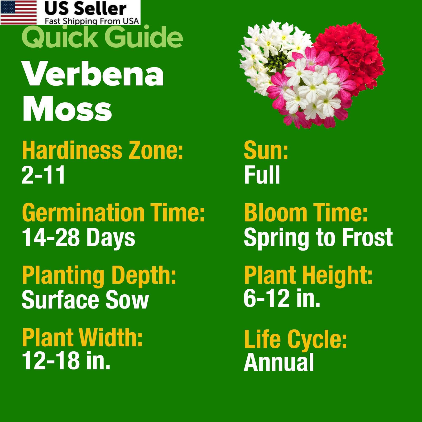 HOME GROWN Verbena Moss Seeds – 6000+ Perennial Flower 1-Pack, Green