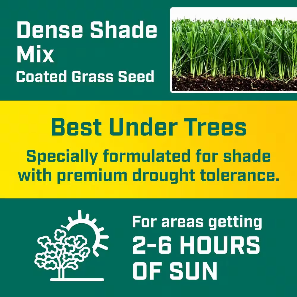 3 Lbs. Shady Lawn Grass Seed Mix