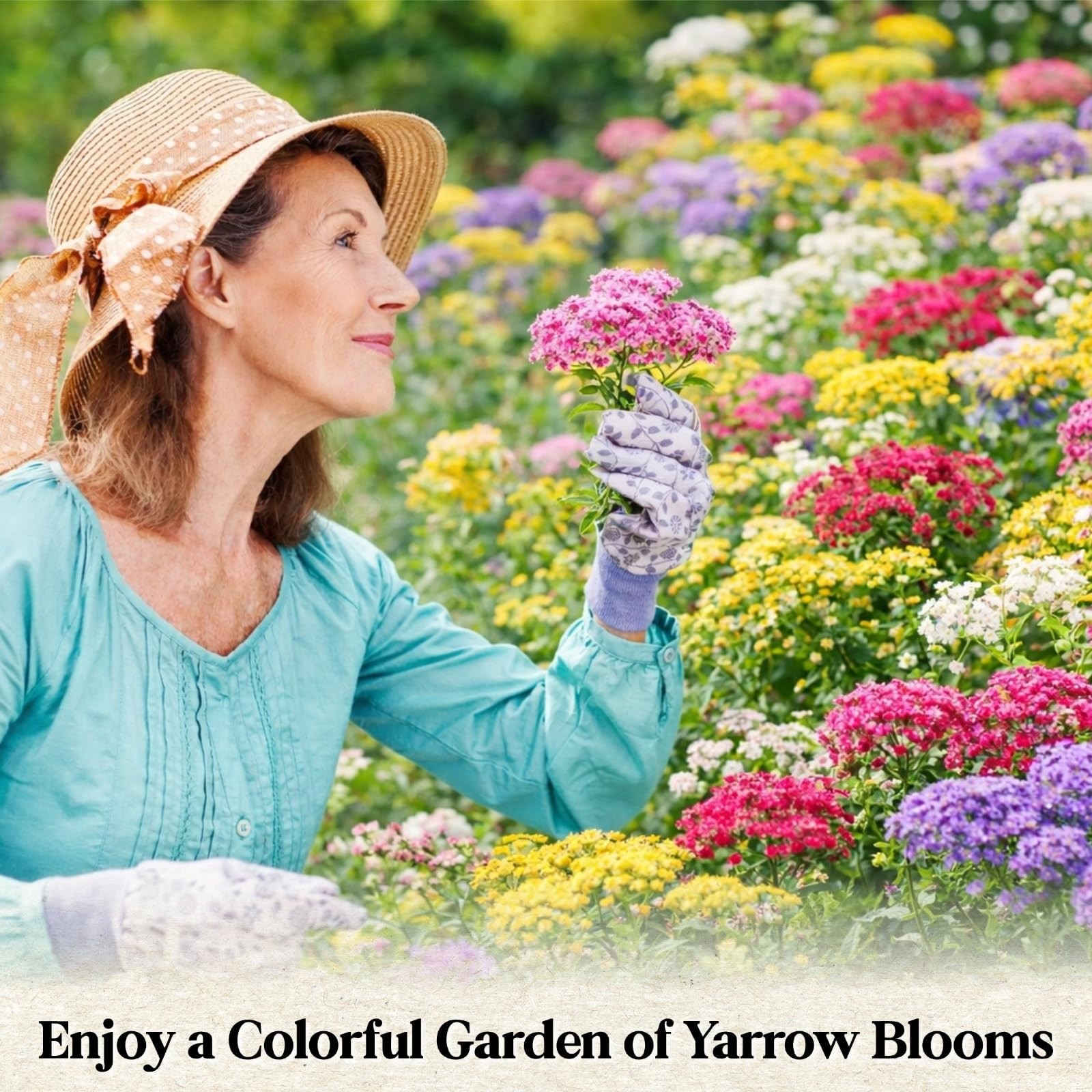8000+ Yarrow Seeds for Planting 5 Packs Colors Mixed, Achillea Millefolium P…
