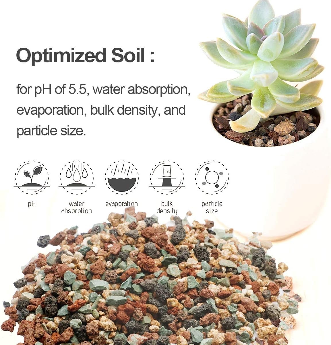 Professional Drainage Rocks for Plants