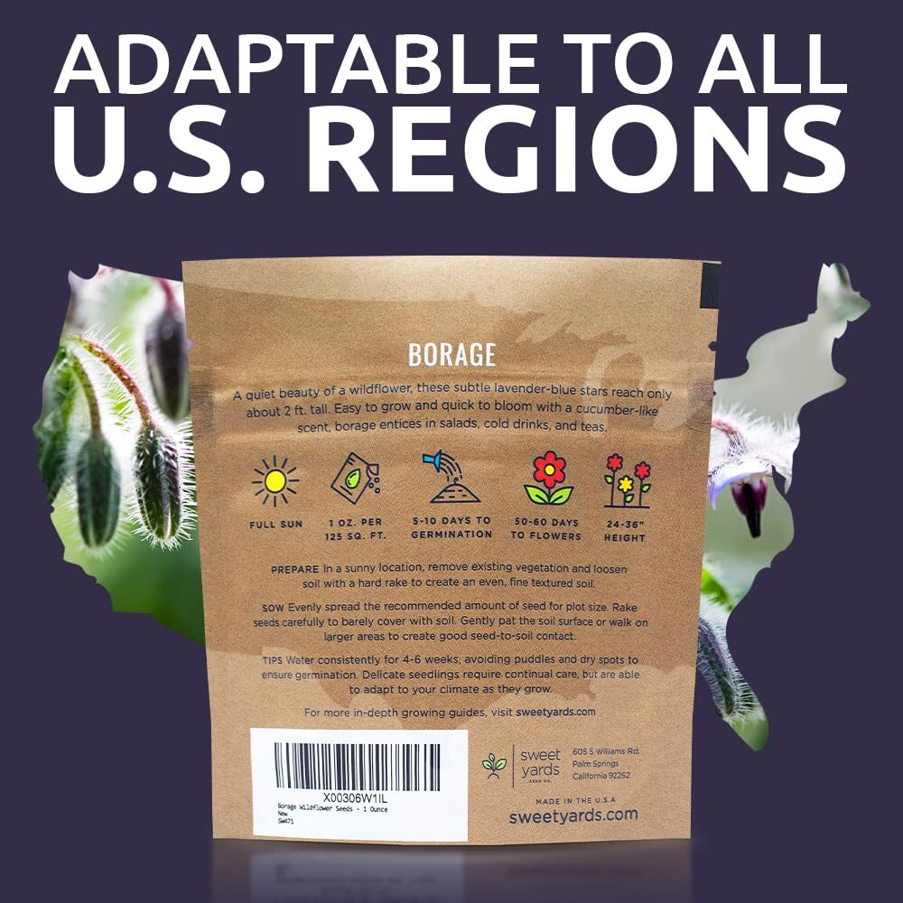 Borage Seeds – Extra Large Packet – Over 1200 Open Pollinated Non-GMO Wildflo…